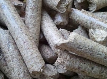 生物質(zhì)能源